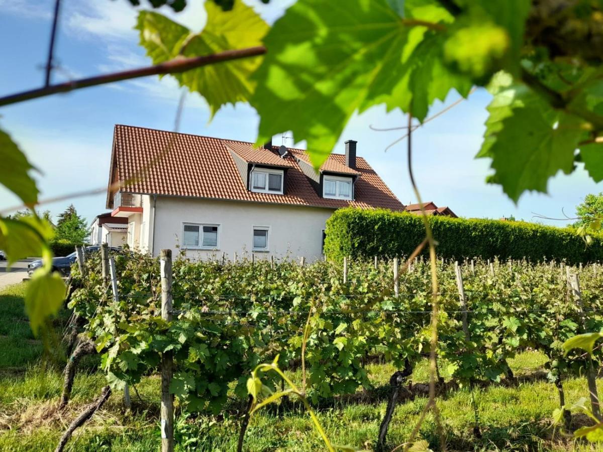 Ferienwohnung Am Schoosberg, Niederkirchen Bei Deidesheim Екстериор снимка