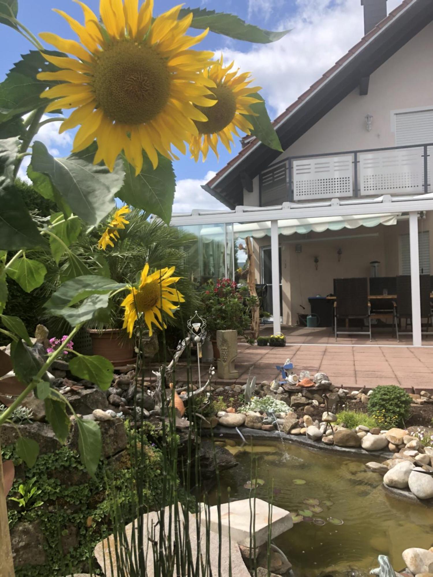 Ferienwohnung Am Schoosberg, Niederkirchen Bei Deidesheim Екстериор снимка